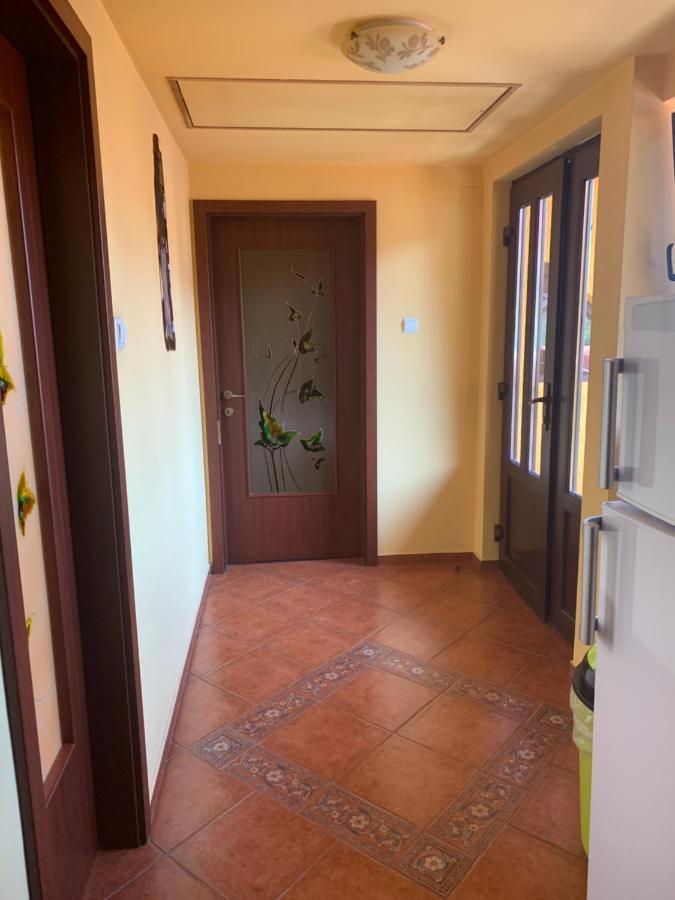 Casa Lenke Hotel Négyfalu Kültér fotó